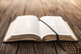 Verse of the Week